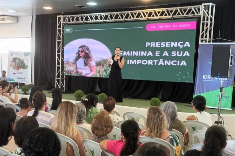Seagri levará inovação e conhecimento técnico à 54ª ExpoParanavaí