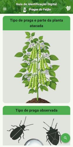 IDR-Paraná lança ferramentas digitais na Expolondrina