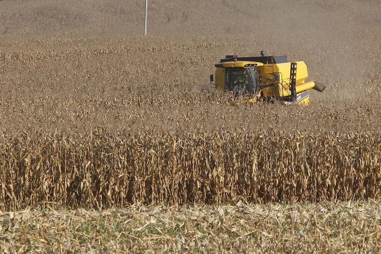 Soja e milho impulsionam produção paranaense com estimativa de 39,1 milhões de toneladas