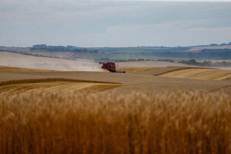 Soja e milho impulsionam produção paranaense com estimativa de 39,1 milhões de toneladas