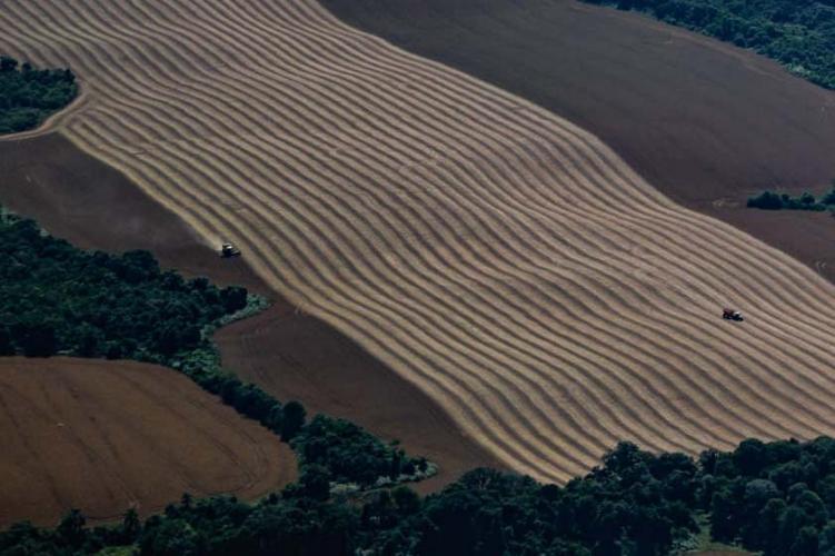 Cenário atual projeta aumento na remuneração do leite no Paraná, aponta Deral