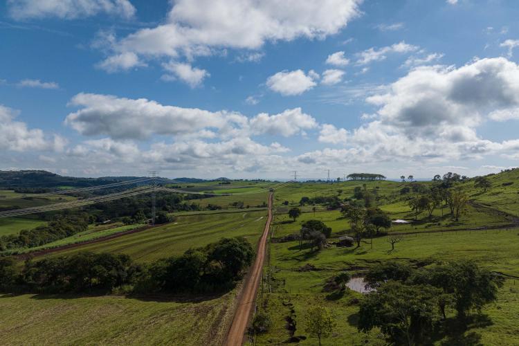 Ratinho Junior lança pacote de R$ 19,8 milhões em pavimentação rural para São José das Palmeiras