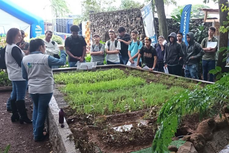 52ª Expoingá: IDR-Paraná apresenta inovações e programação técnica para o agronegócio