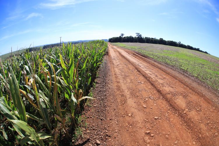 Ratinho Junior anuncia R$ 19,7 milhões para pavimentação rural em Ouro Verde do Oeste