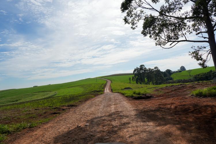 De estrada rural a educação: Ratinho Junior libera pacote de R$ 75,2 milhões para Pitanga