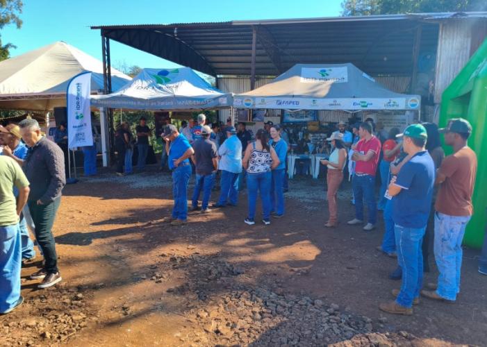 Tecnologia e inovação marcam o 7º Dia de Campo de Milho Silagem em Barbosa Ferraz