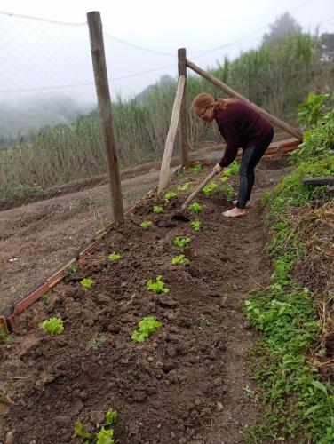 IDR-Paraná implanta hortas comunitárias em Campo Largo
