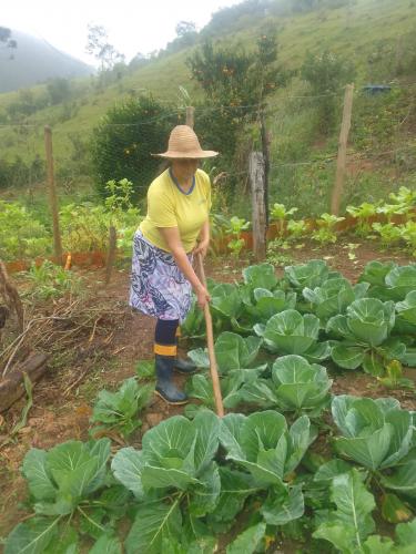 IDR-Paraná implanta hortas comunitárias em Campo Largo