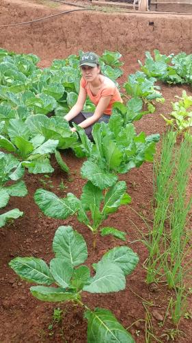 IDR-Paraná implanta hortas comunitárias em Campo Largo