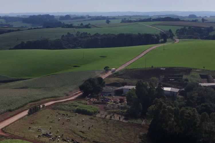 De estrada rural a educação: Ratinho Junior libera pacote de R$ 75,2 milhões para Pitanga