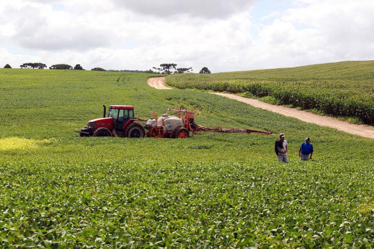 Complexo soja impulsiona agronegócio do Paraná com faturamento de US$ 2,94 bilhões até maio