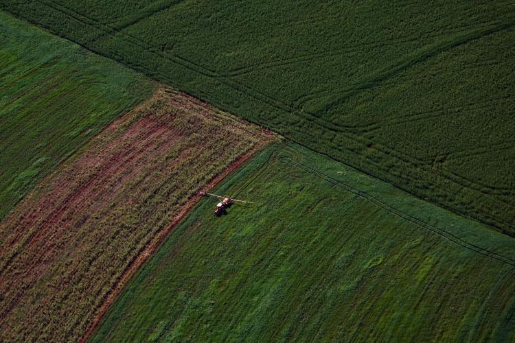 VBP Agropecuário do Paraná cresce 13% e alcança R$ 212,6 bilhões em 2025