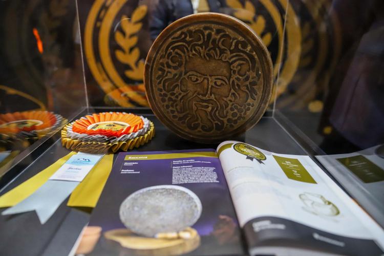 Prêmio Queijos do Paraná chega à terceira edição em 2026 com nova categoria