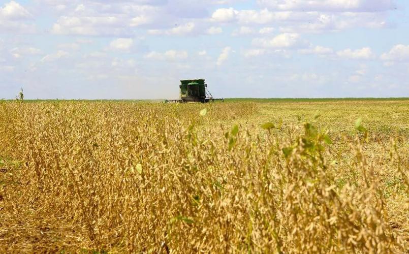 Com alta de 5,5%, Paraná chega a US$ 18,7 bilhões exportados de janeiro a setembro