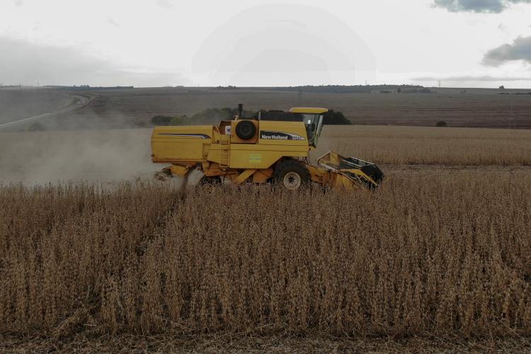 Safra 2026/2027: produção de soja tem previsão de aumento em 4% no Paraná