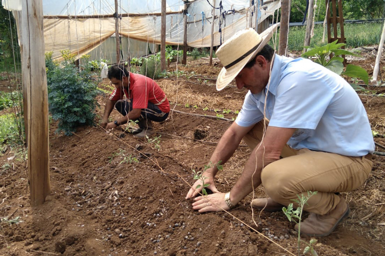 O engenheiro-agrônomo ajuda a transformar a agropecuária paranaense
