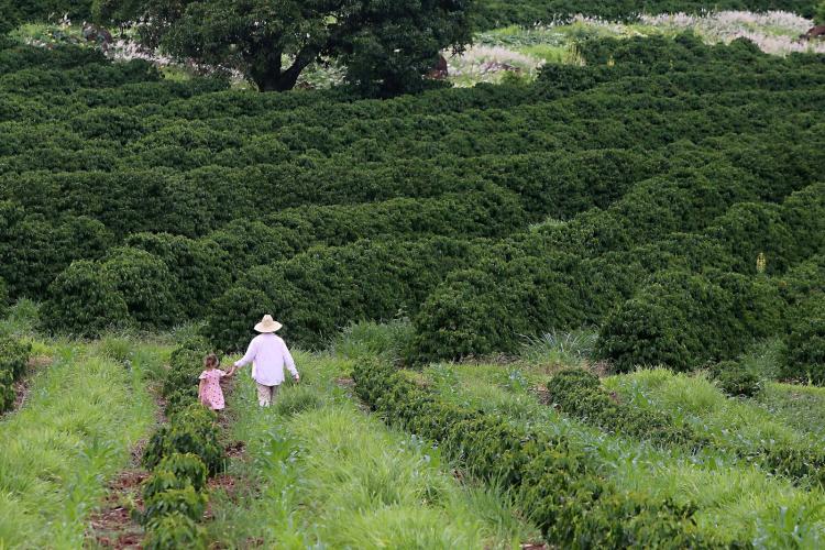15º Encontro de Mulheres do Território Noroeste aborda direitos, produção e geração de renda