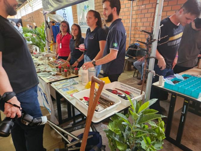 Hortec reúne especialistas e produtores para discutir o mercado de hortifruti em Dois Vizinhos