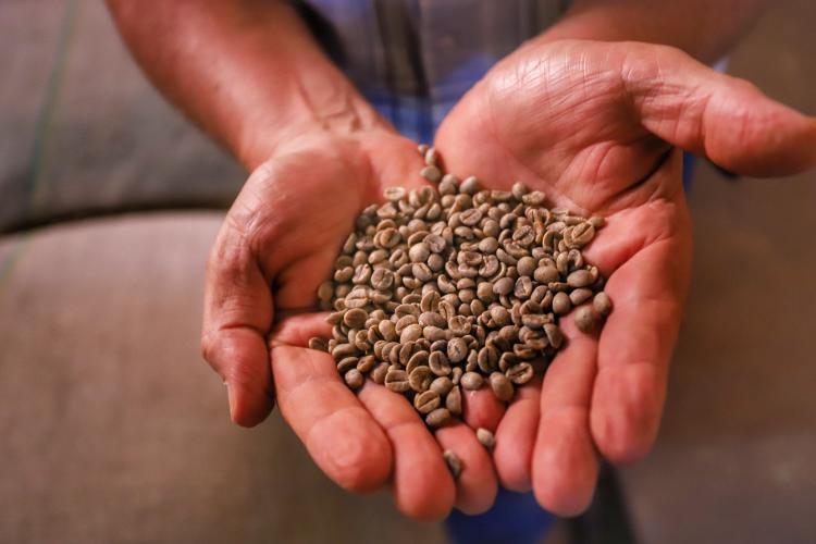 Café mais barato na prateleira e soja em alta nas exportações, mostra boletim do Deral