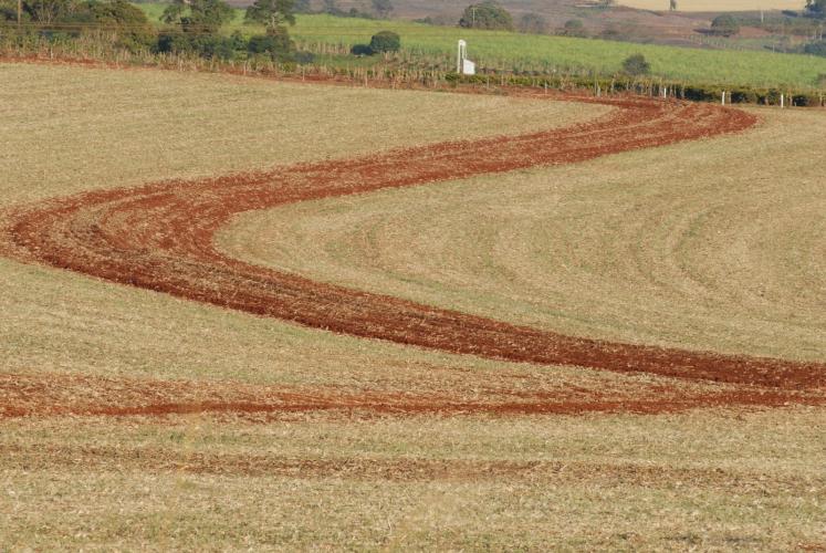 Plantio direto: tecnologia que nasceu no Paraná ajuda a produzir mais e preservar o meio ambiente