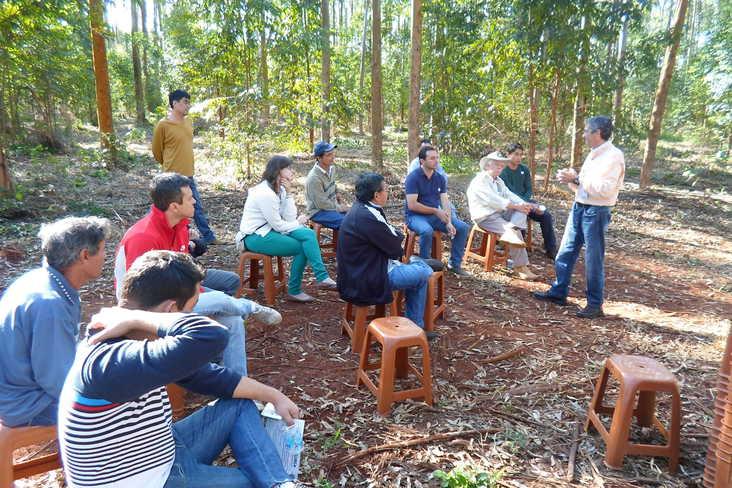 foto/emater foto/emater