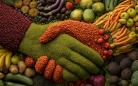 Agricultura familiar e consumo consciente são destaques nas comemorações do Dia Mundial da Alimentação 