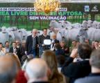 Um ano após conquista sanitária, Paraná reúne mais condições para crescer