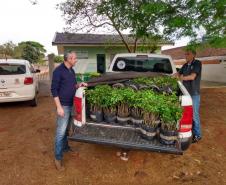 Seab participa de ação do Programa Paraná Mais Verde