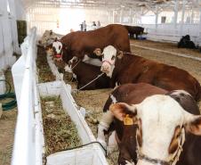 Governador Ratinho Junior visita nova feira agrotécnica de Guarapuava