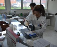 Adapar realiza cerca de 100 mil exames sanitários por ano