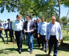 Ministério da Agricultura fortalece Paraná no mercado de carne suína
