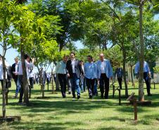 Ministério da Agricultura fortalece Paraná no mercado de carne suína