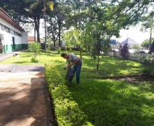 Seab participa de ação estadual contra a dengue - Campo Mourão