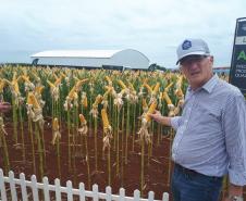 Dois eventos, a Safratec, em Floresta, e o Superagro, em Londrina, foram acompanhados por integrantes do Governo do Estado. 