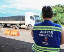 A medida atende normativa do Ministério da Agricultora, Pecuária e Abastecimento e é parte do protocolo de conquista pelo Paraná do status internacional de área livre da febre aftosa, sem vacinação. 