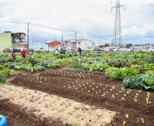 Uberaba ganha unidade do programa Hortas Comunitárias