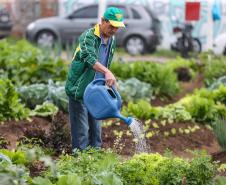 Uberaba ganha unidade do programa Hortas Comunitárias