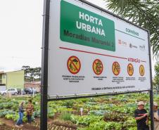 Uberaba ganha unidade do programa Hortas Comunitárias