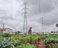 Uberaba ganha unidade do programa Hortas Comunitárias