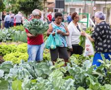 Uberaba ganha unidade do programa Hortas Comunitárias