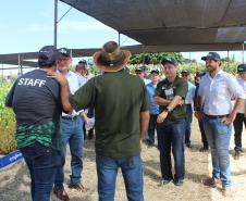 Dia de campo mostra novidades tecnológicas para o agronegócio