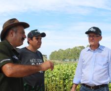 Dia de campo mostra novidades tecnológicas para o agronegócio