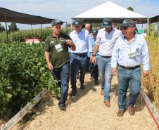 Dia de campo mostra novidades tecnológicas para o agronegócio
