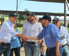 Dia de campo mostra novidades tecnológicas para o agronegócio