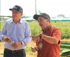 Dia de campo mostra novidades tecnológicas para o agronegócio