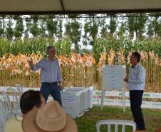 Dois eventos, a Safratec, em Floresta, e o Superagro, em Londrina, foram acompanhados por integrantes do Governo do Estado. 