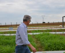 Dois eventos, a Safratec, em Floresta, e o Superagro, em Londrina, foram acompanhados por integrantes do Governo do Estado. 