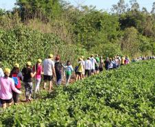 Caminhadas na Natureza terão 160 circuitos no Paraná neste ano