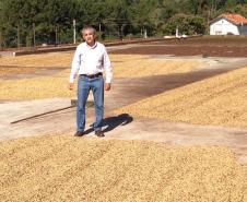 Café especial paranaense é premiado em concurso nacional 