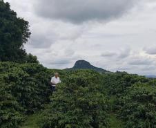 Café especial paranaense é premiado em concurso nacional 